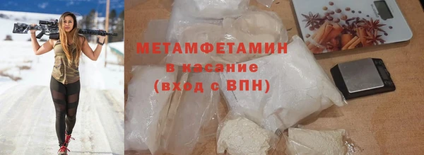 стаф Аркадак