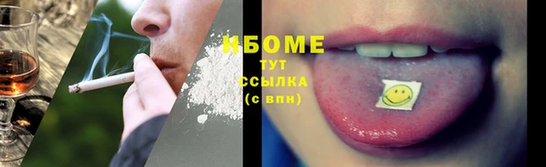 стаф Аркадак