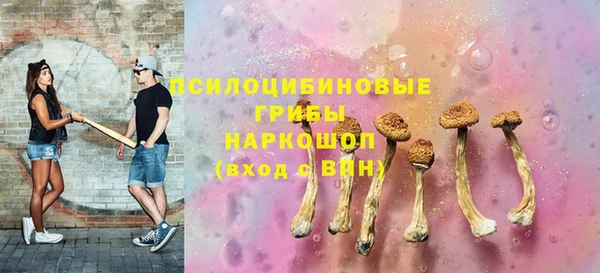 прущий лед Арсеньев