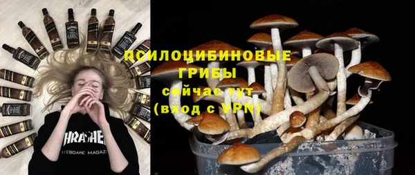 эйфоретик Алзамай