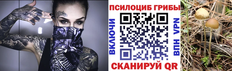 ссылка на мегу ссылка  Михайлов  Галлюциногенные грибы ЛСД 